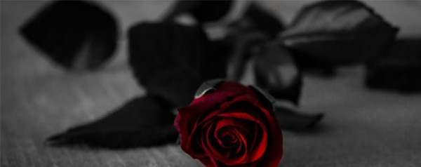 Suicide Cleanup Services in Miami, FL